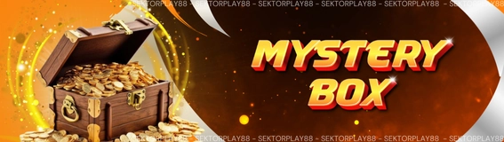 MYSTERY BOX